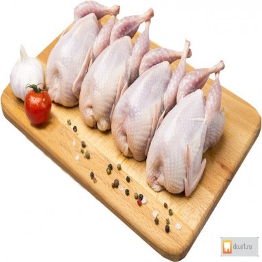 Мясо домашних перепелов