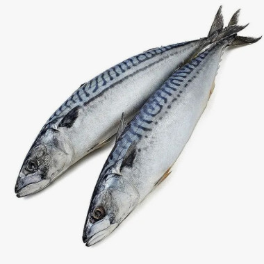 Скумбрия 400-600 весовая